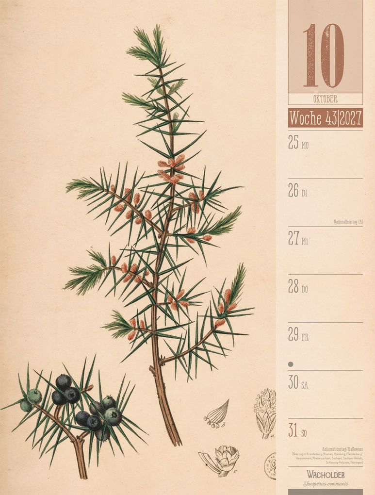 Weitere Ansicht: Culinarium Wochenplaner Kalender 2027 | Küche, Kräuter, Kurioses | Ackermann Kunstverlag GmbH