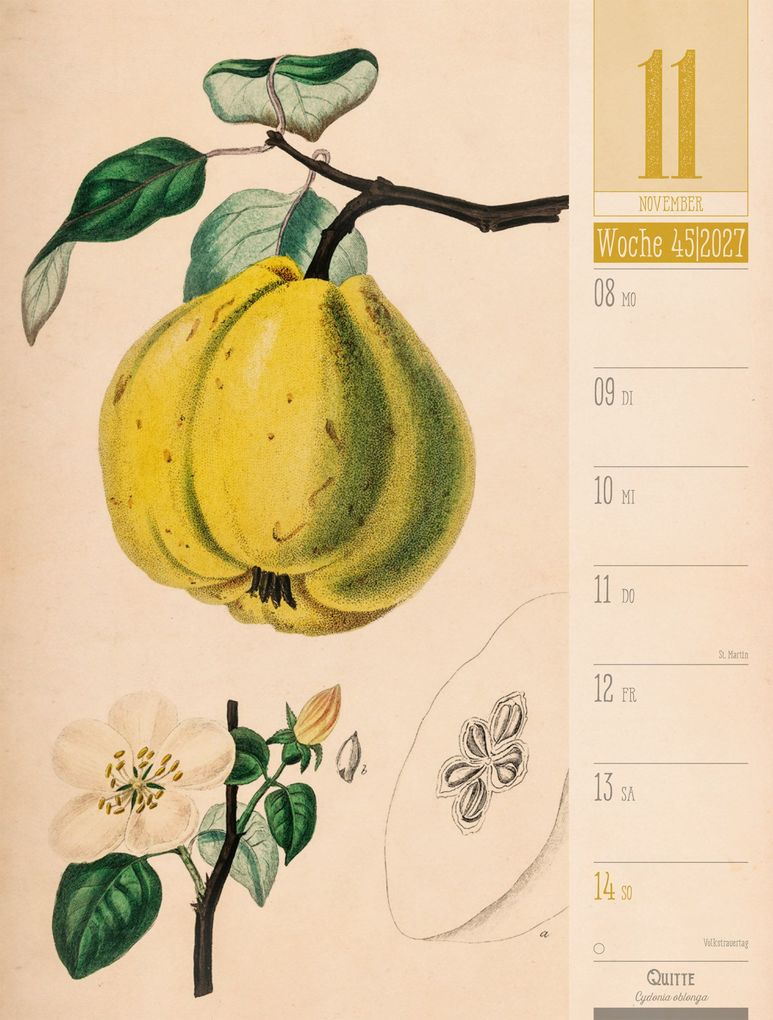 Weitere Ansicht: Culinarium Wochenplaner Kalender 2027 | Küche, Kräuter, Kurioses | Ackermann Kunstverlag GmbH