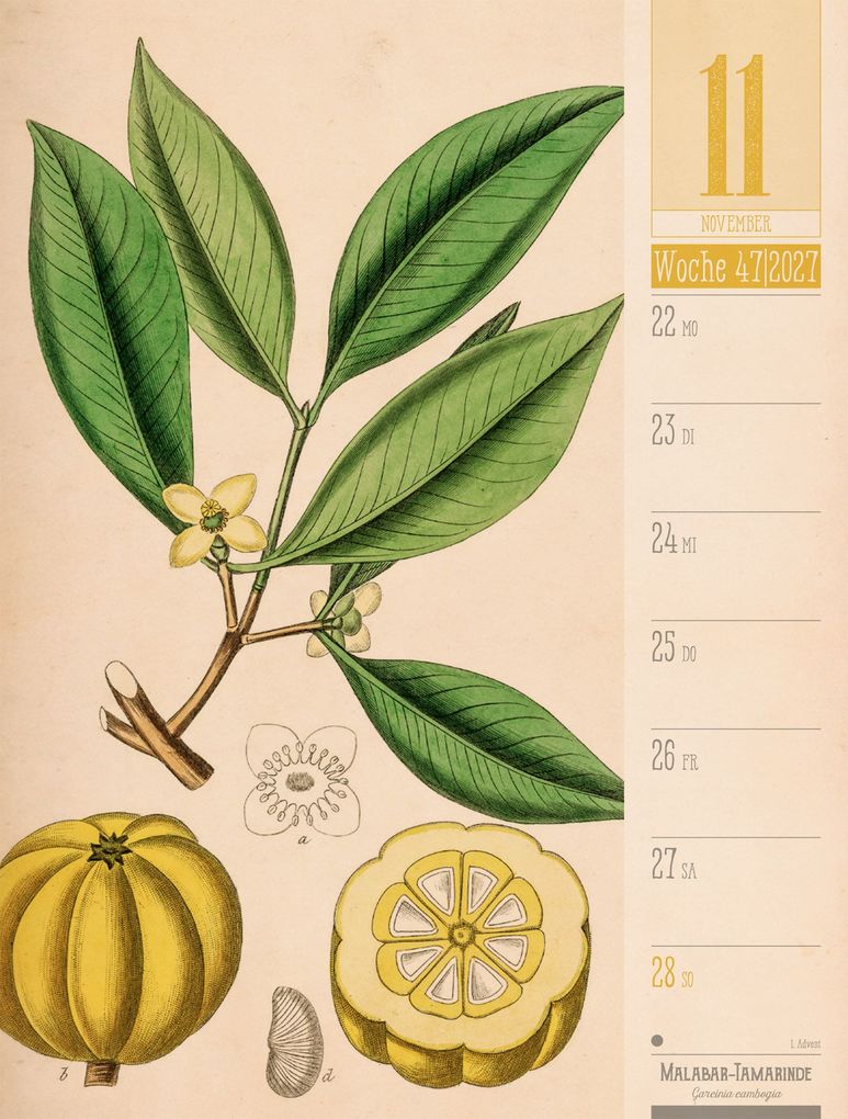Weitere Ansicht: Culinarium Wochenplaner Kalender 2027 | Küche, Kräuter, Kurioses | Ackermann Kunstverlag GmbH