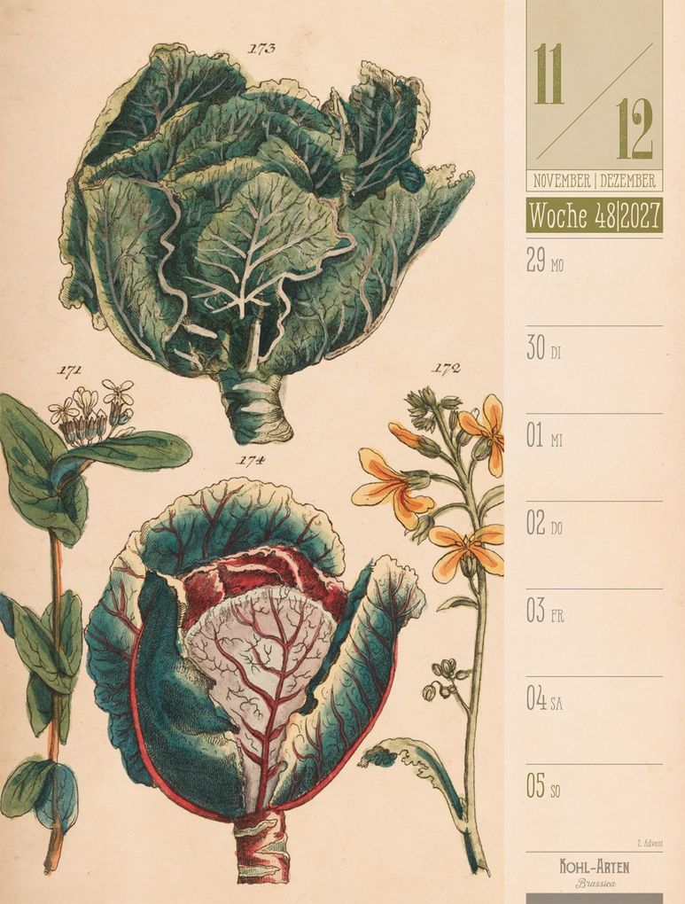 Weitere Ansicht: Culinarium Wochenplaner Kalender 2027 | Küche, Kräuter, Kurioses | Ackermann Kunstverlag GmbH
