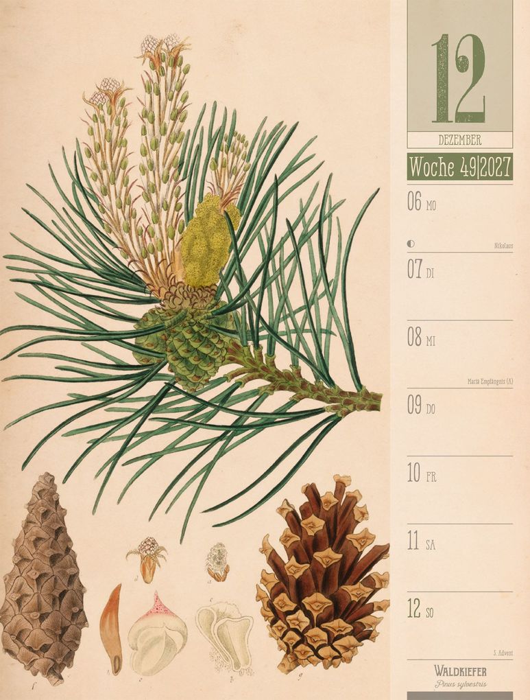 Weitere Ansicht: Culinarium Wochenplaner Kalender 2027 | Küche, Kräuter, Kurioses | Ackermann Kunstverlag GmbH