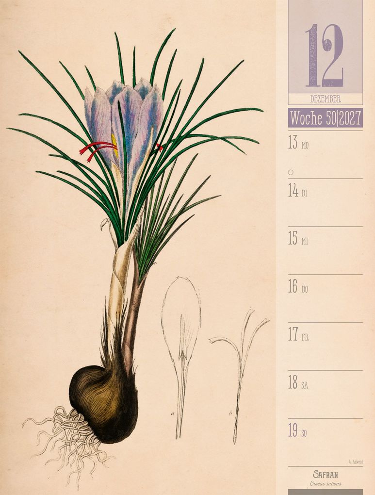Weitere Ansicht: Culinarium Wochenplaner Kalender 2027 | Küche, Kräuter, Kurioses | Ackermann Kunstverlag GmbH