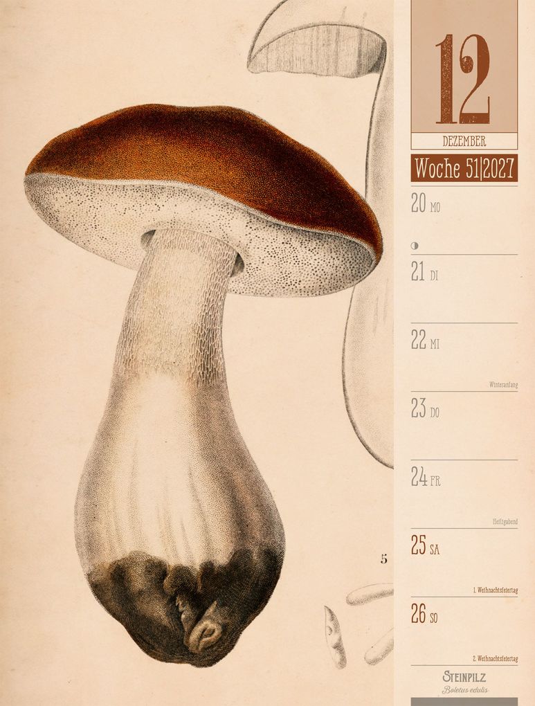 Weitere Ansicht: Culinarium Wochenplaner Kalender 2027 | Küche, Kräuter, Kurioses | Ackermann Kunstverlag GmbH