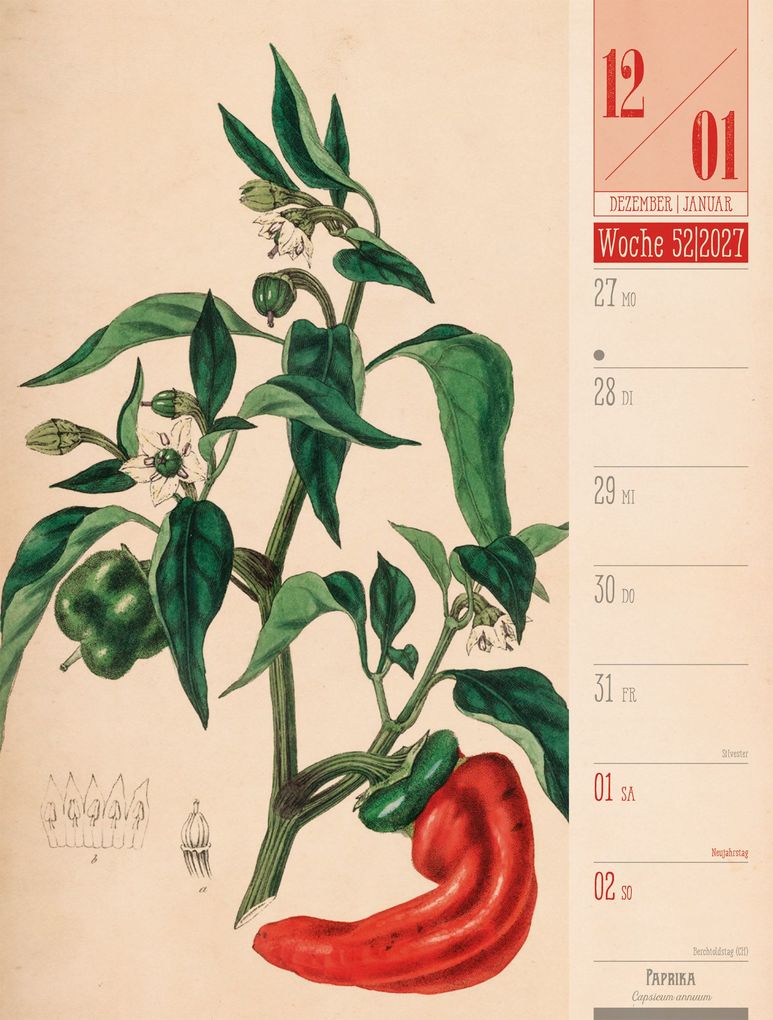 Weitere Ansicht: Culinarium Wochenplaner Kalender 2027 | Küche, Kräuter, Kurioses | Ackermann Kunstverlag GmbH