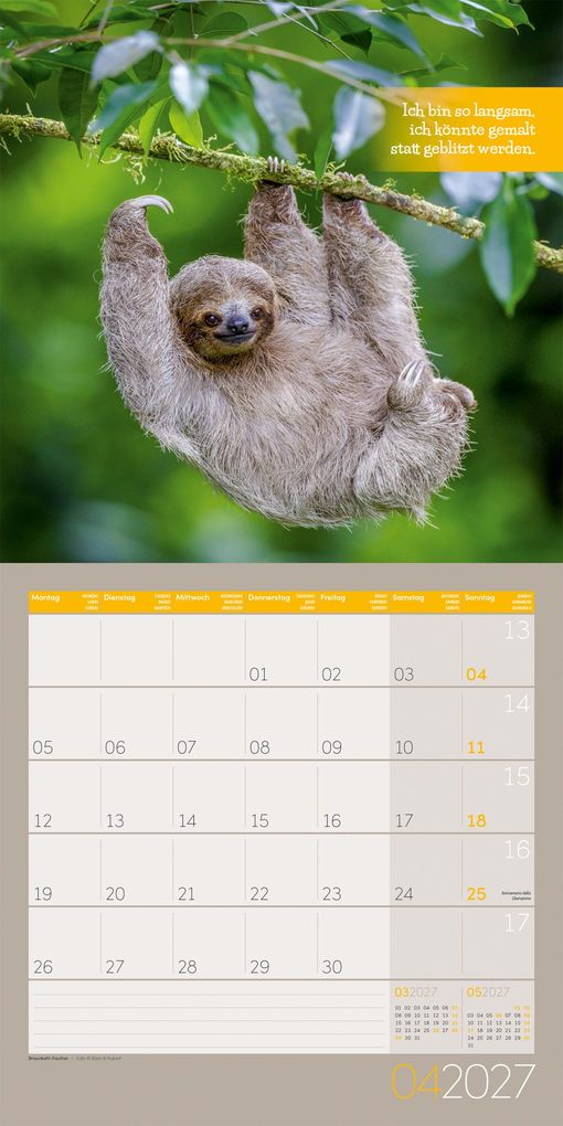 Weitere Ansicht: Keep Smiling Kalender 2027 - 30x30 - Art12 | Ackermann Kunstverlag GmbH
