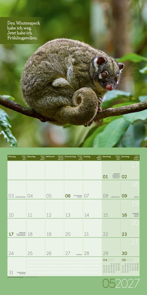 Weitere Ansicht: Keep Smiling Kalender 2027 - 30x30 - Art12 | Ackermann Kunstverlag GmbH