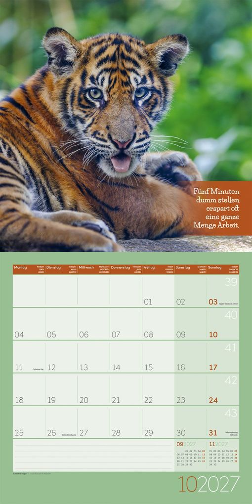 Weitere Ansicht: Keep Smiling Kalender 2027 - 30x30 - Art12 | Ackermann Kunstverlag GmbH