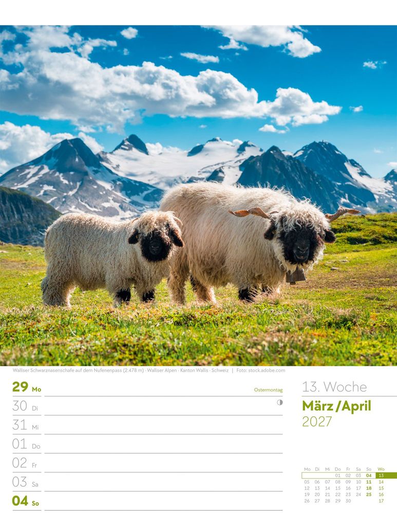Weitere Ansicht: Faszination Alpenwelt Wochenplaner Kalender 2027 | Ackermann Kunstverlag GmbH