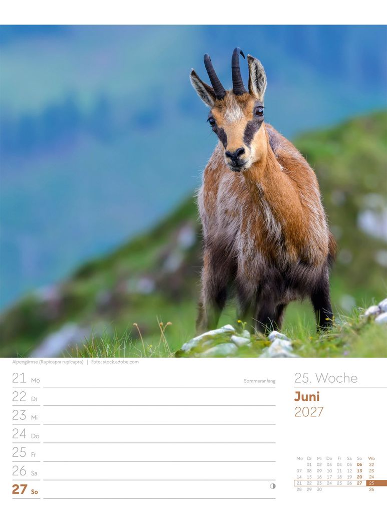 Weitere Ansicht: Faszination Alpenwelt Wochenplaner Kalender 2027 | Ackermann Kunstverlag GmbH