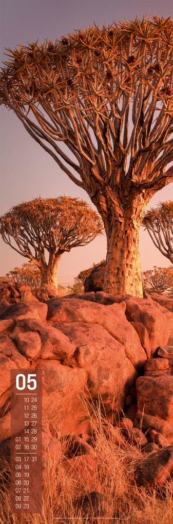 Weitere Ansicht: Afrika Vertikal Kalender 2027 | Ackermann Kunstverlag GmbH