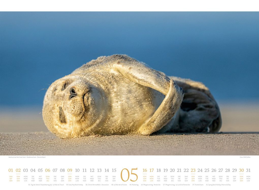 Weitere Ansicht: Tage am Meer Kalender 2027 | Ackermann Kunstverlag GmbH