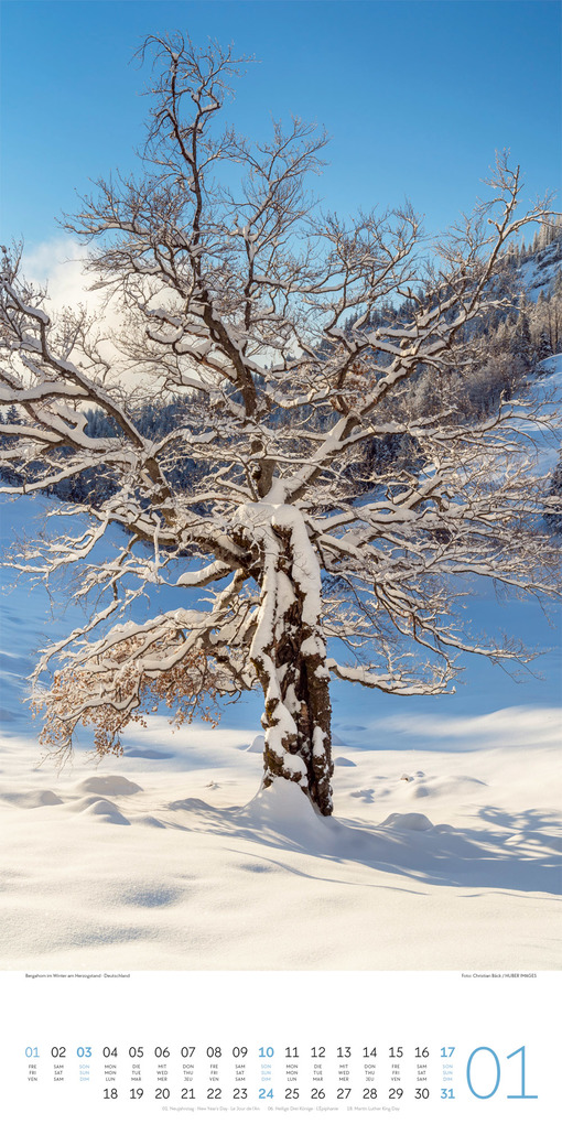Weitere Ansicht: Bäume Kalender 2027 | Ackermann Kunstverlag GmbH