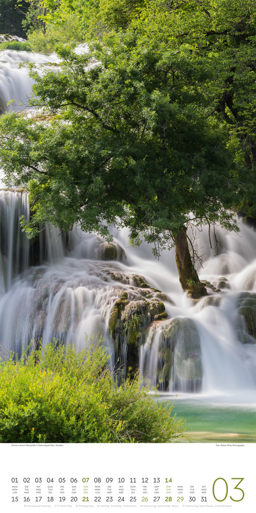 Weitere Ansicht: Bäume Kalender 2027 | Ackermann Kunstverlag GmbH