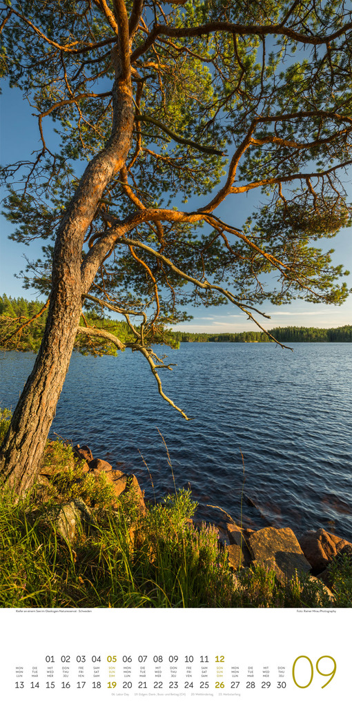 Weitere Ansicht: Bäume Kalender 2027 | Ackermann Kunstverlag GmbH