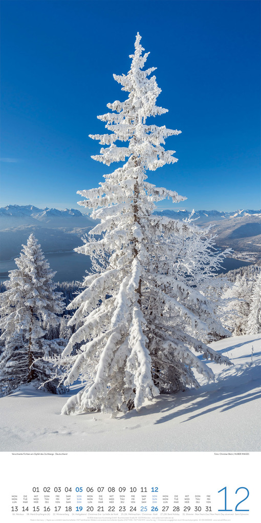 Weitere Ansicht: Bäume Kalender 2027 | Ackermann Kunstverlag GmbH