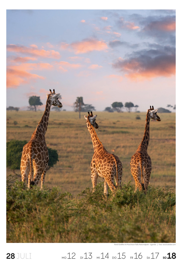 Weitere Ansicht: Reisen Wochenkalender 2027 | Ackermann Kunstverlag GmbH