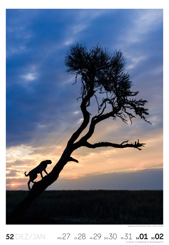 Weitere Ansicht: Reisen Wochenkalender 2027 | Ackermann Kunstverlag GmbH