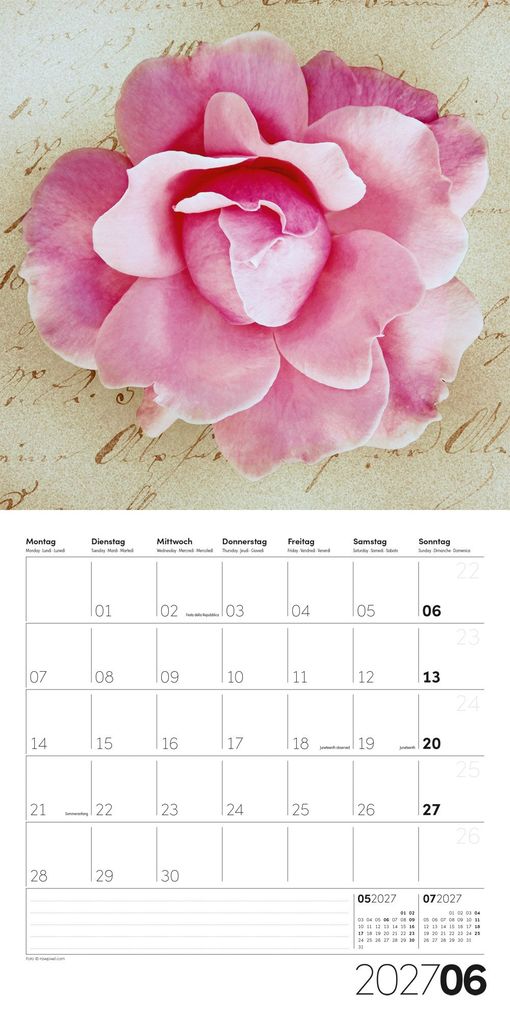 Weitere Ansicht: Die Farbe Pink Kalender 2027 - 30x30 - Art12 | Ackermann Kunstverlag GmbH