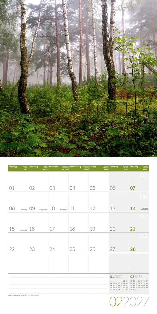 Weitere Ansicht: Zauber des Waldes Kalender 2027 - 30x30 - Art12 | Ackermann Kunstverlag GmbH