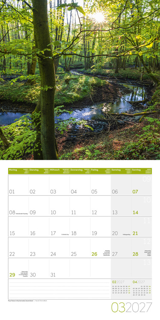 Weitere Ansicht: Zauber des Waldes Kalender 2027 - 30x30 - Art12 | Ackermann Kunstverlag GmbH