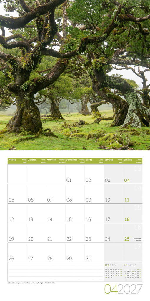 Weitere Ansicht: Zauber des Waldes Kalender 2027 - 30x30 - Art12 | Ackermann Kunstverlag GmbH