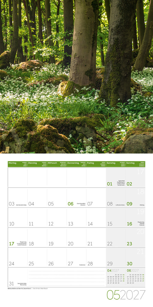 Weitere Ansicht: Zauber des Waldes Kalender 2027 - 30x30 - Art12 | Ackermann Kunstverlag GmbH