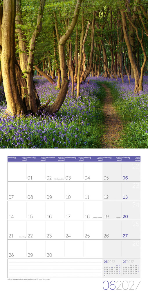 Weitere Ansicht: Zauber des Waldes Kalender 2027 - 30x30 - Art12 | Ackermann Kunstverlag GmbH