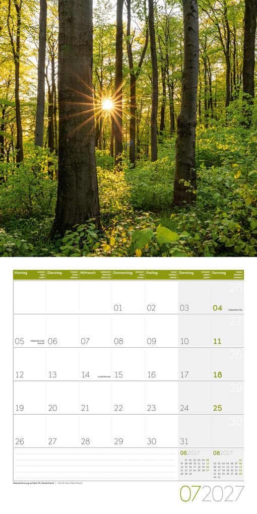 Weitere Ansicht: Zauber des Waldes Kalender 2027 - 30x30 - Art12 | Ackermann Kunstverlag GmbH
