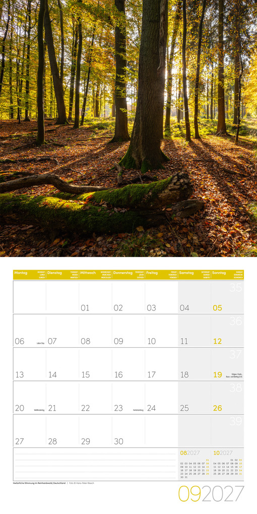 Weitere Ansicht: Zauber des Waldes Kalender 2027 - 30x30 - Art12 | Ackermann Kunstverlag GmbH
