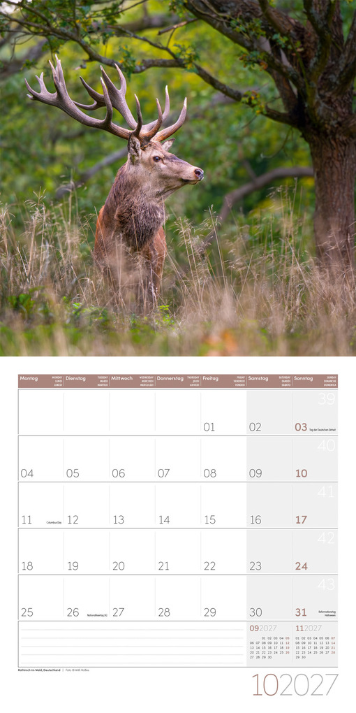 Weitere Ansicht: Zauber des Waldes Kalender 2027 - 30x30 - Art12 | Ackermann Kunstverlag GmbH