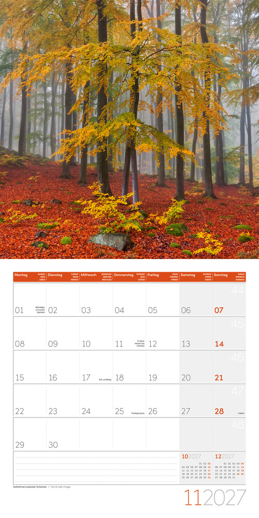 Weitere Ansicht: Zauber des Waldes Kalender 2027 - 30x30 - Art12 | Ackermann Kunstverlag GmbH