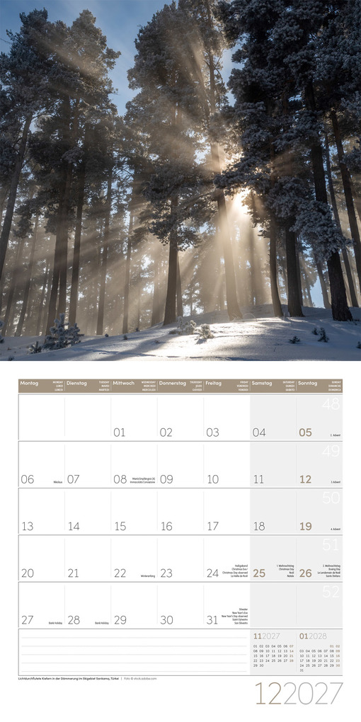 Weitere Ansicht: Zauber des Waldes Kalender 2027 - 30x30 - Art12 | Ackermann Kunstverlag GmbH