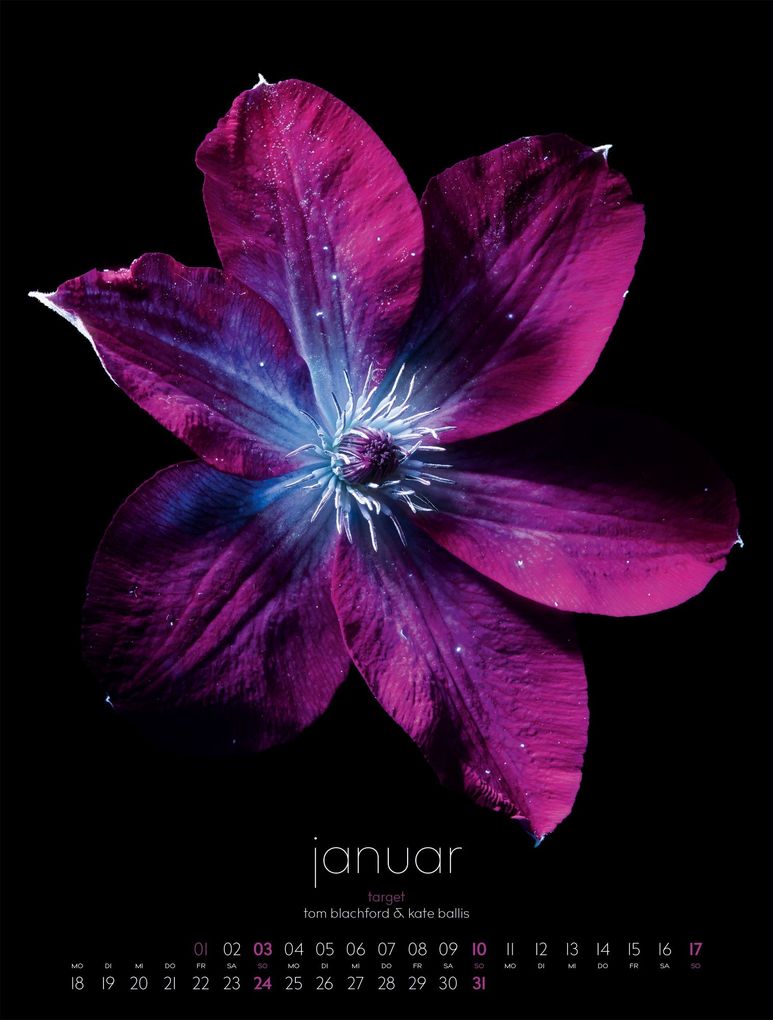 Weitere Ansicht: in bloom Kalender 2027 | Blachford, Ackermann Kunstverlag GmbH