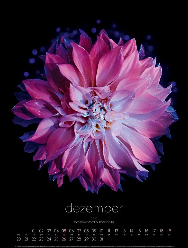 Weitere Ansicht: in bloom Kalender 2027 | Blachford, Ackermann Kunstverlag GmbH