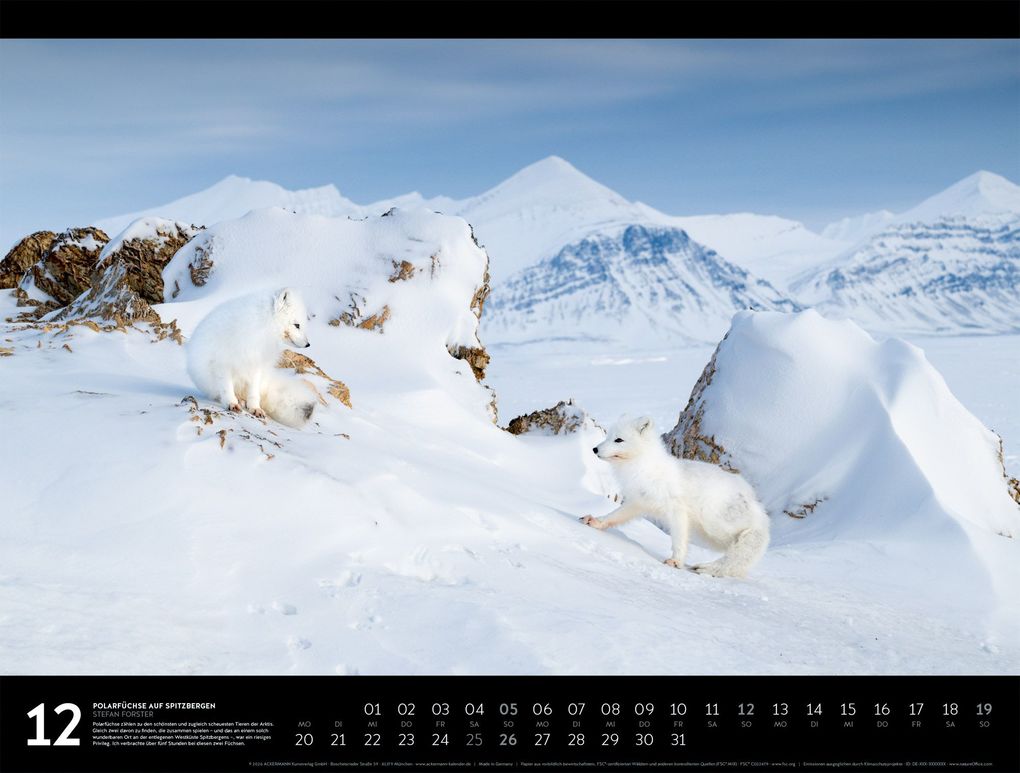 Weitere Ansicht: Nordische Welten Signature Kalender 2027 | Stefan Forster, Ackermann Kunstverlag GmbH