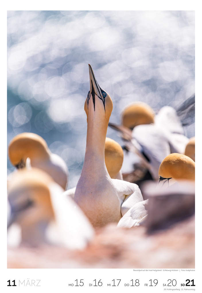 Weitere Ansicht: Küste Wochenkalender 2027 | Ackermann Kunstverlag GmbH