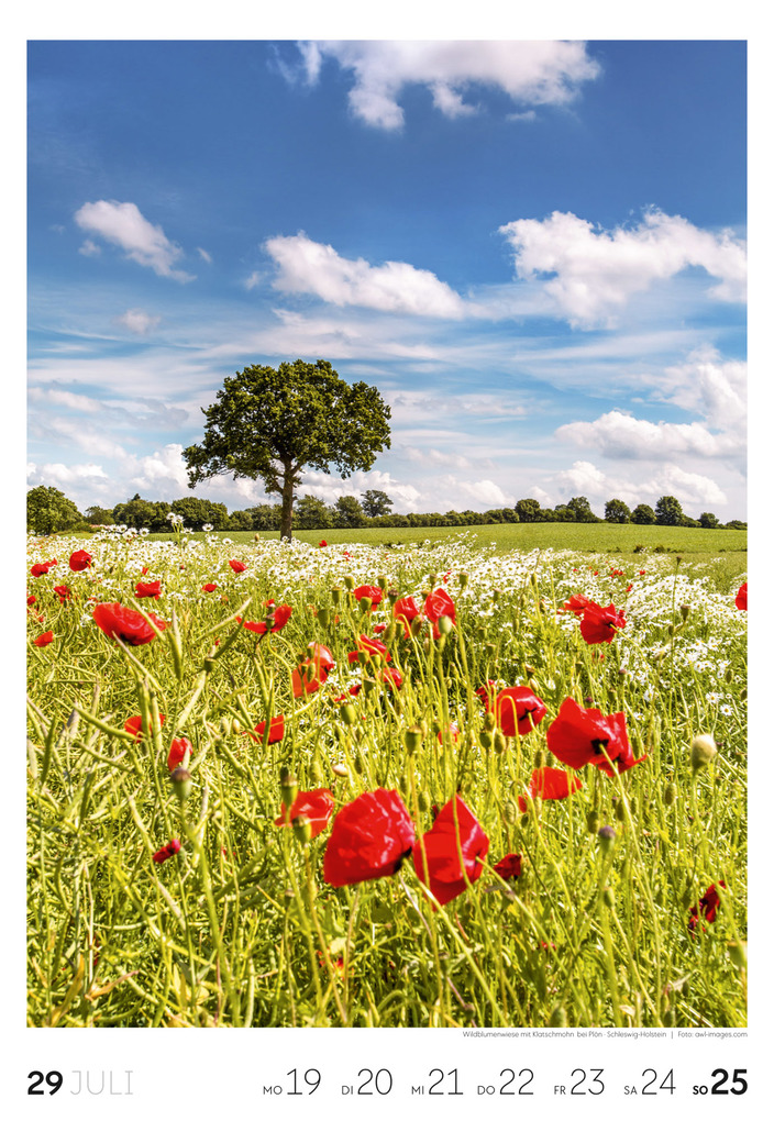 Weitere Ansicht: Küste Wochenkalender 2027 | Ackermann Kunstverlag GmbH