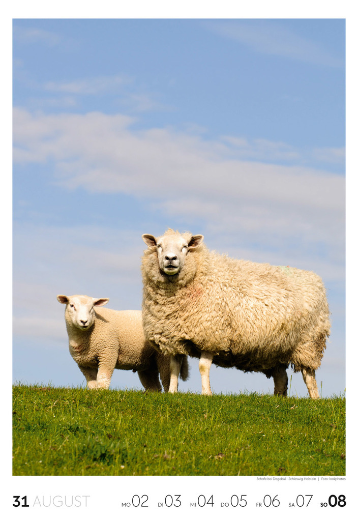 Weitere Ansicht: Küste Wochenkalender 2027 | Ackermann Kunstverlag GmbH