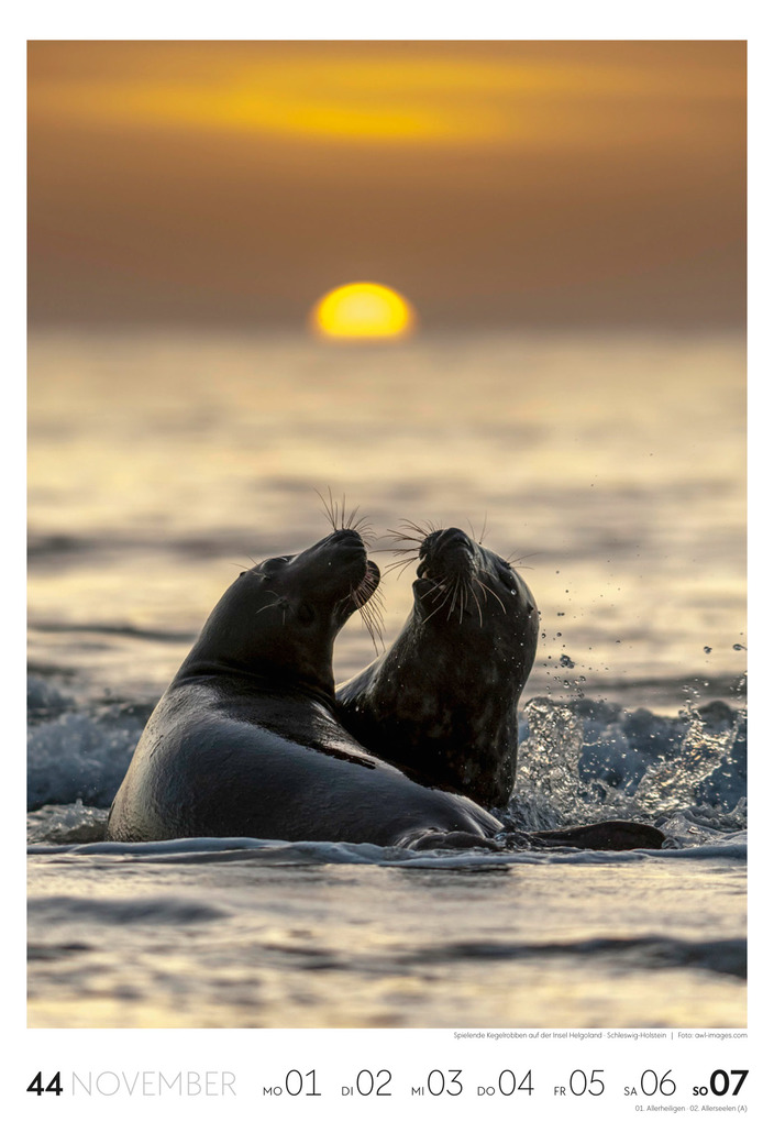 Weitere Ansicht: Küste Wochenkalender 2027 | Ackermann Kunstverlag GmbH