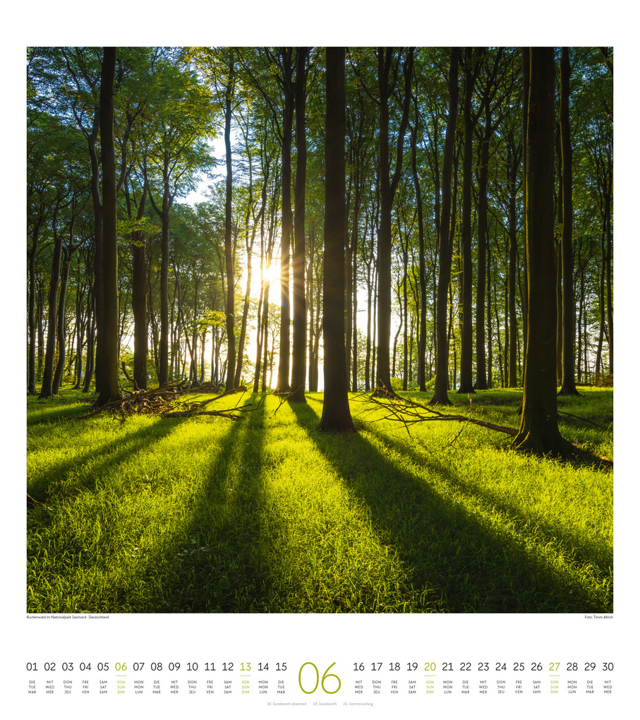 Weitere Ansicht: Lichtblicke Kalender 2027 | Ackermann Kunstverlag GmbH