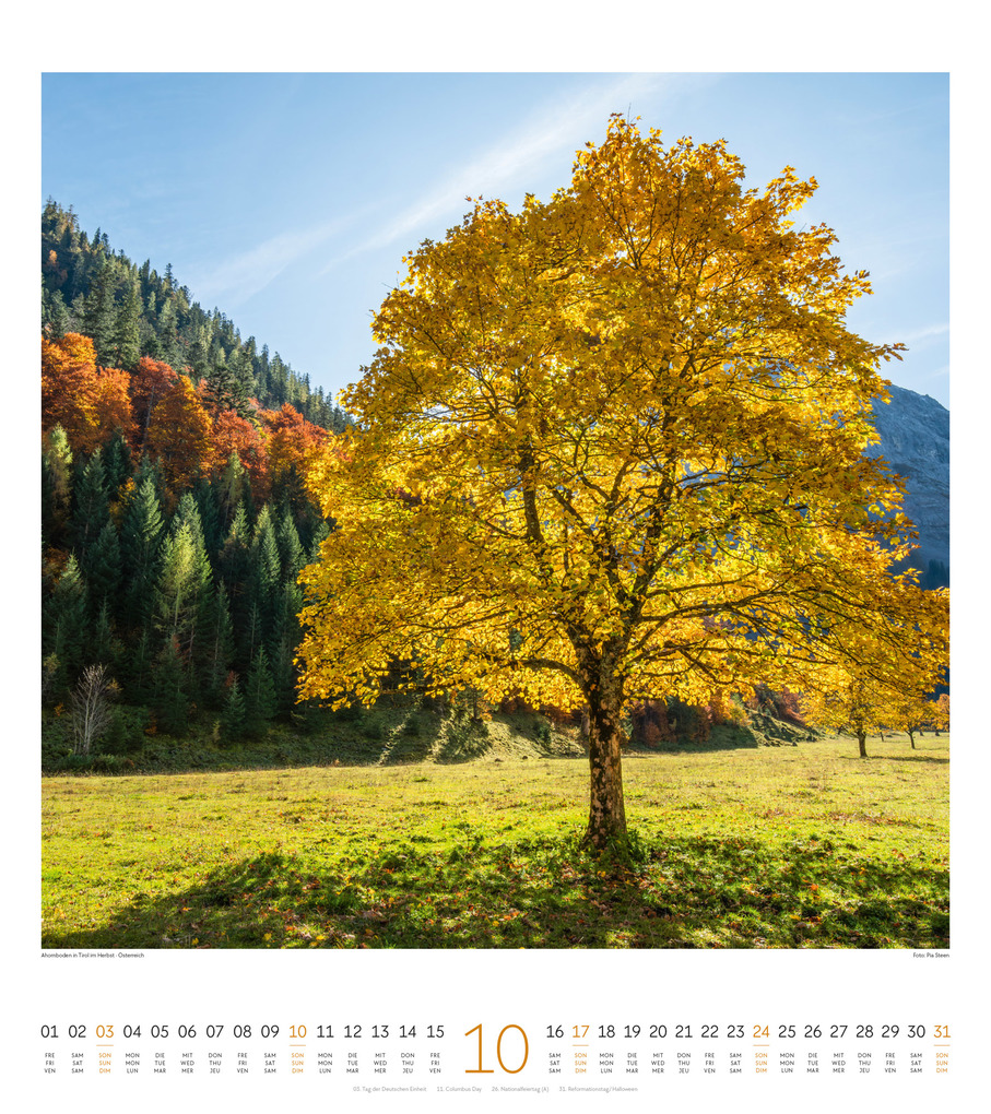 Weitere Ansicht: Lichtblicke Kalender 2027 | Ackermann Kunstverlag GmbH