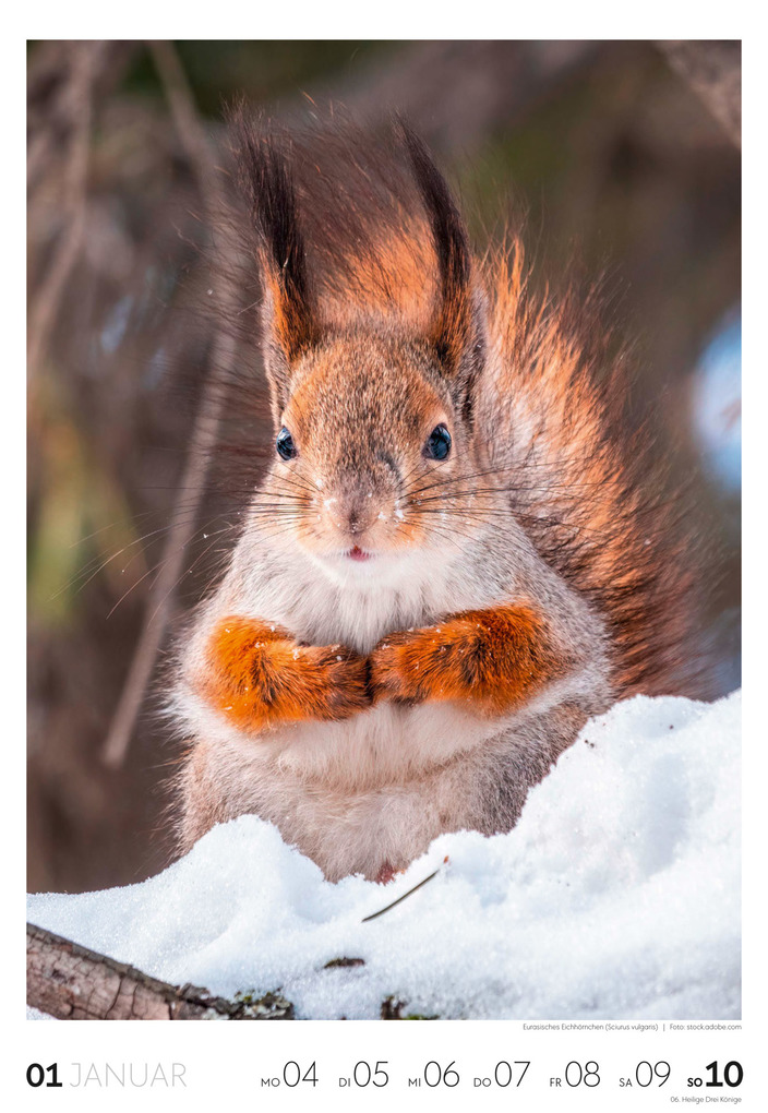 Weitere Ansicht: Natur Wochenkalender 2027 | Ackermann Kunstverlag GmbH