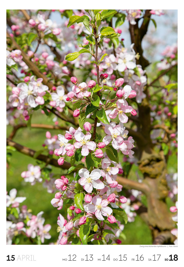 Weitere Ansicht: Natur Wochenkalender 2027 | Ackermann Kunstverlag GmbH