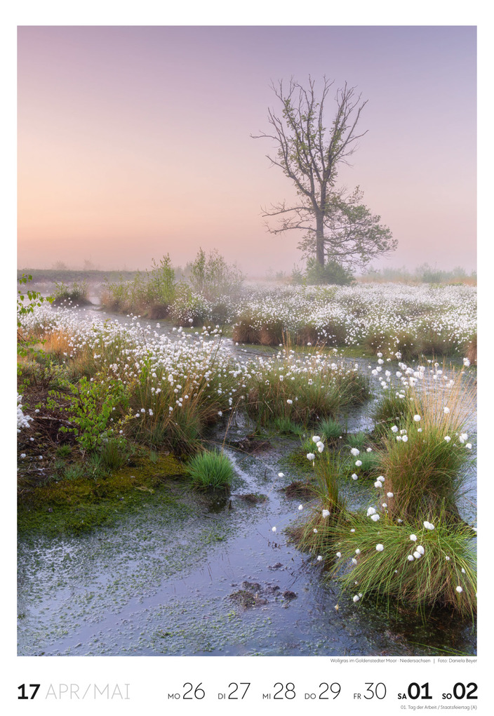 Weitere Ansicht: Natur Wochenkalender 2027 | Ackermann Kunstverlag GmbH