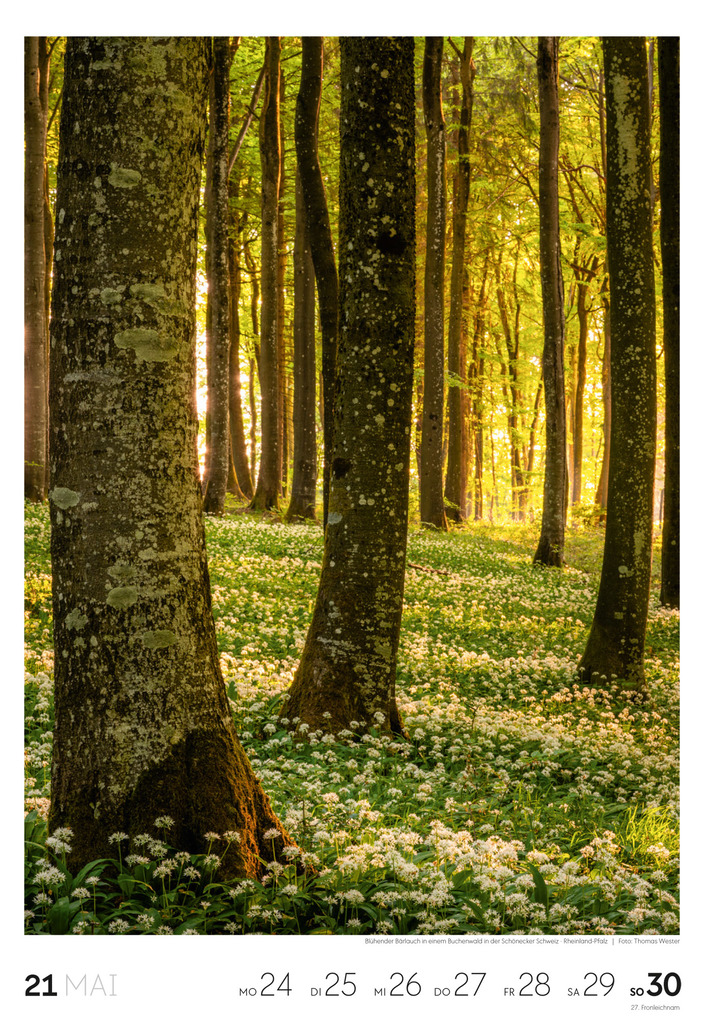 Weitere Ansicht: Natur Wochenkalender 2027 | Ackermann Kunstverlag GmbH