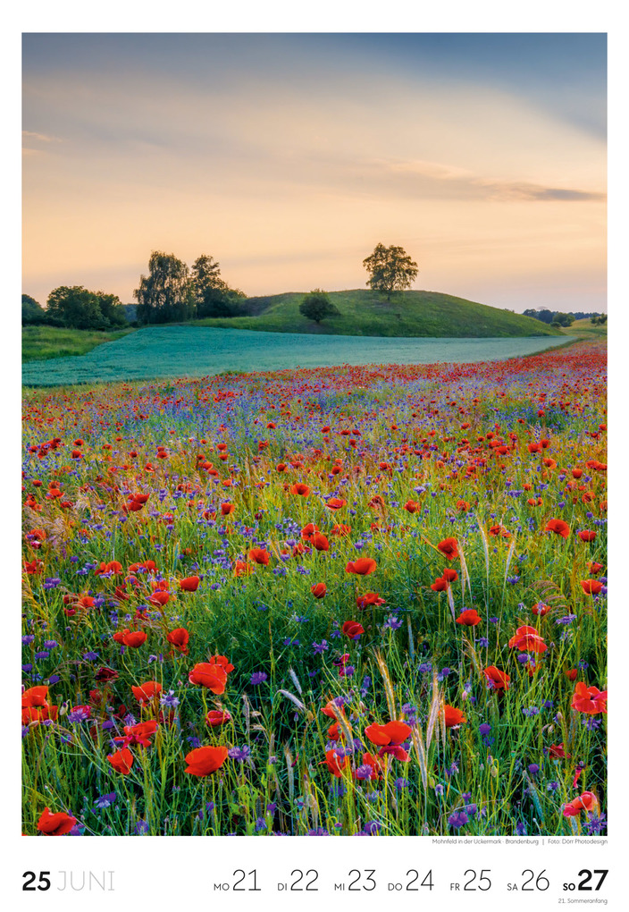 Weitere Ansicht: Natur Wochenkalender 2027 | Ackermann Kunstverlag GmbH