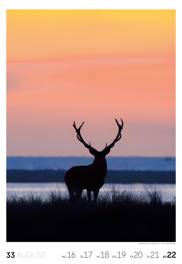 Weitere Ansicht: Natur Wochenkalender 2027 | Ackermann Kunstverlag GmbH