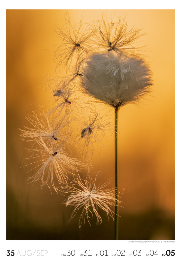 Weitere Ansicht: Natur Wochenkalender 2027 | Ackermann Kunstverlag GmbH