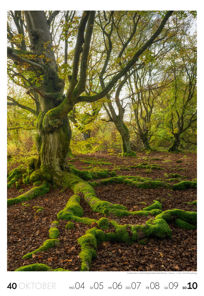 Weitere Ansicht: Natur Wochenkalender 2027 | Ackermann Kunstverlag GmbH