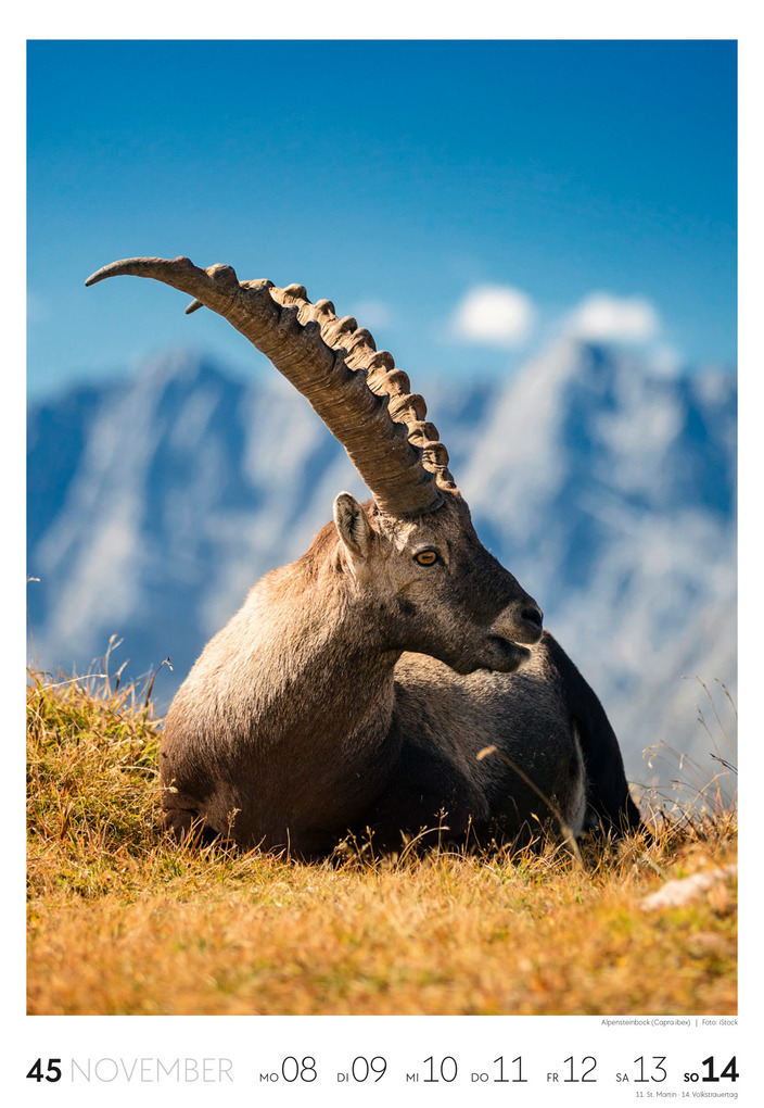 Weitere Ansicht: Natur Wochenkalender 2027 | Ackermann Kunstverlag GmbH
